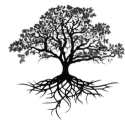 Жоао Рикардо Лопеш е поет, чиято поезия се отличава с медитативна яснота, тиха ирония и дълбоко внимание към малките неща, които изграждат вътрешния живот. В неговите стихотворения всекидневното — домашно насекомо, наклонената следобедна светлина, прост жест, семейна памет — се превръща в материя за екзистенциално размишление. Поезията му съчетава ненатрапчива духовност, понякога францисканска, с остра чувствителност към времето: миналото като корен, настоящето като жест, бъдещето като неизвестност. Чрез точни образи и изчистен език текстовете му разкриват мъдрост, родена от уязвимостта, болестта, паметта и съзерцанието. Това е поезия, която осветява без показност, мисли без тежест и докосва тайнството с лекотата на човек, който знае, че животът е крехък и затова — безкрайно ценен.